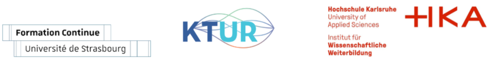 Skill needs of Upper Rhine region companies